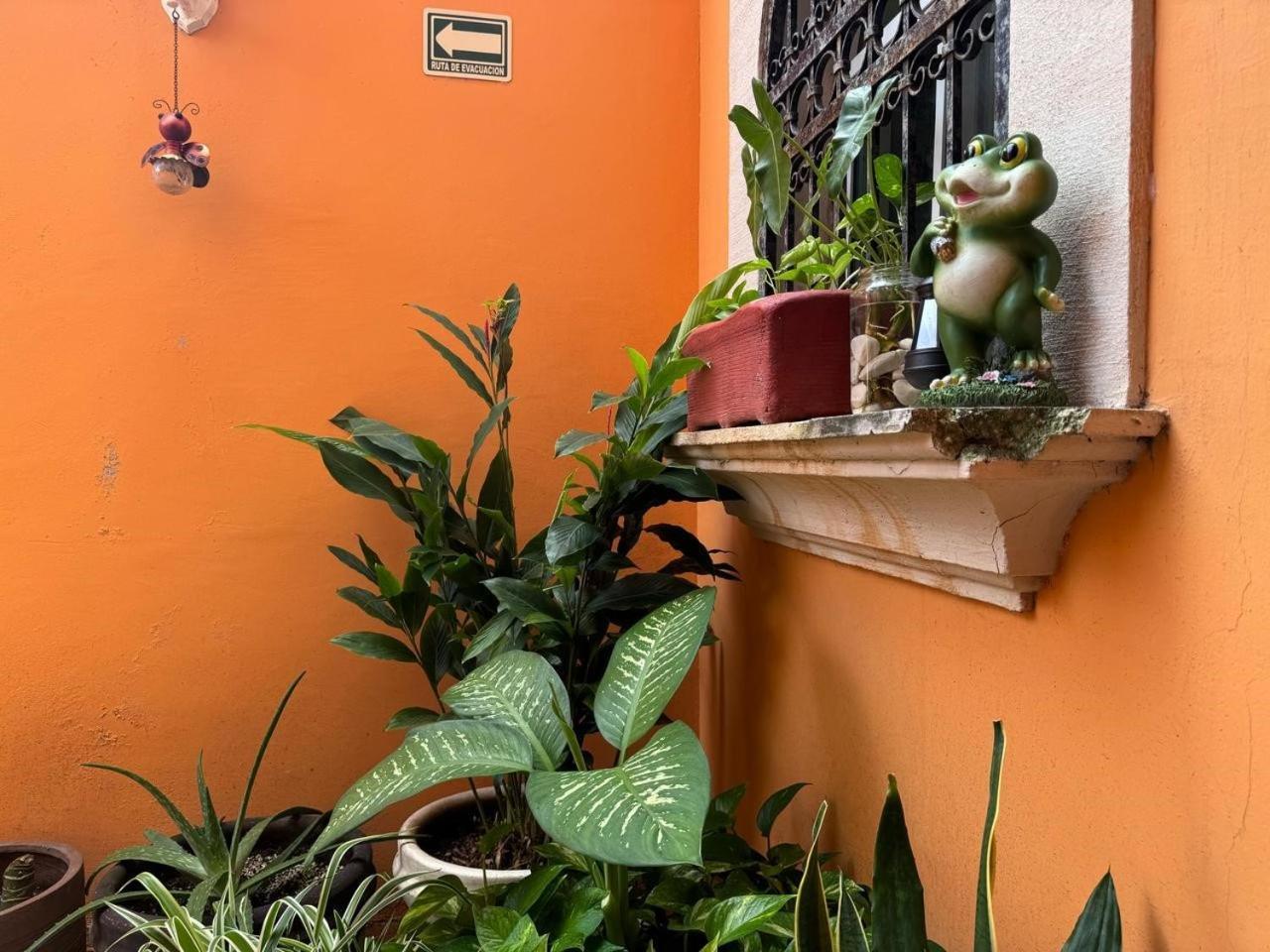 Hotel Casa Mallorca Cancun Bagian luar foto