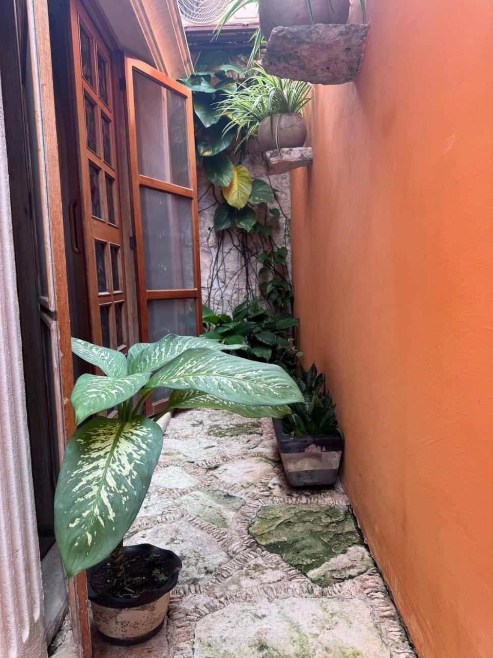 Hotel Casa Mallorca Cancun Bagian luar foto