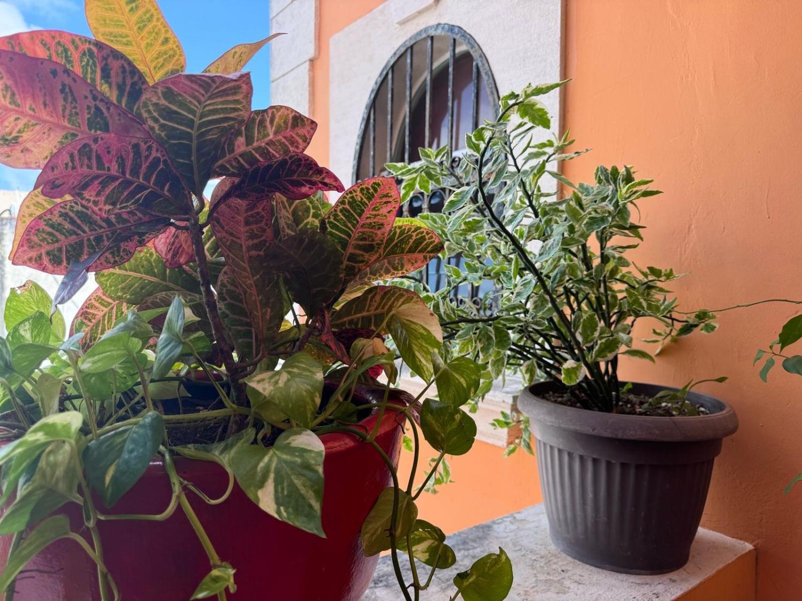 Hotel Casa Mallorca Cancun Bagian luar foto