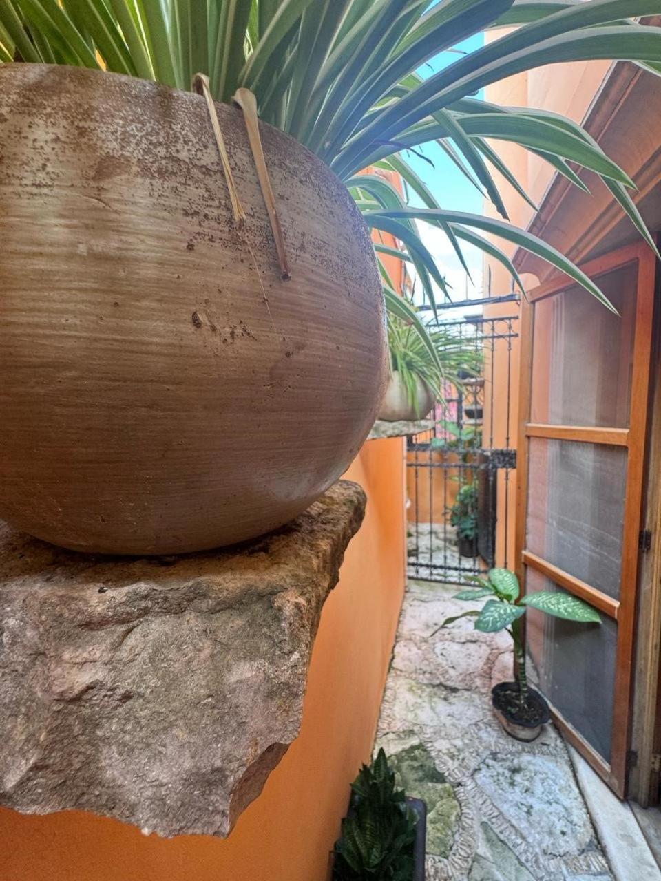 Hotel Casa Mallorca Cancun Bagian luar foto