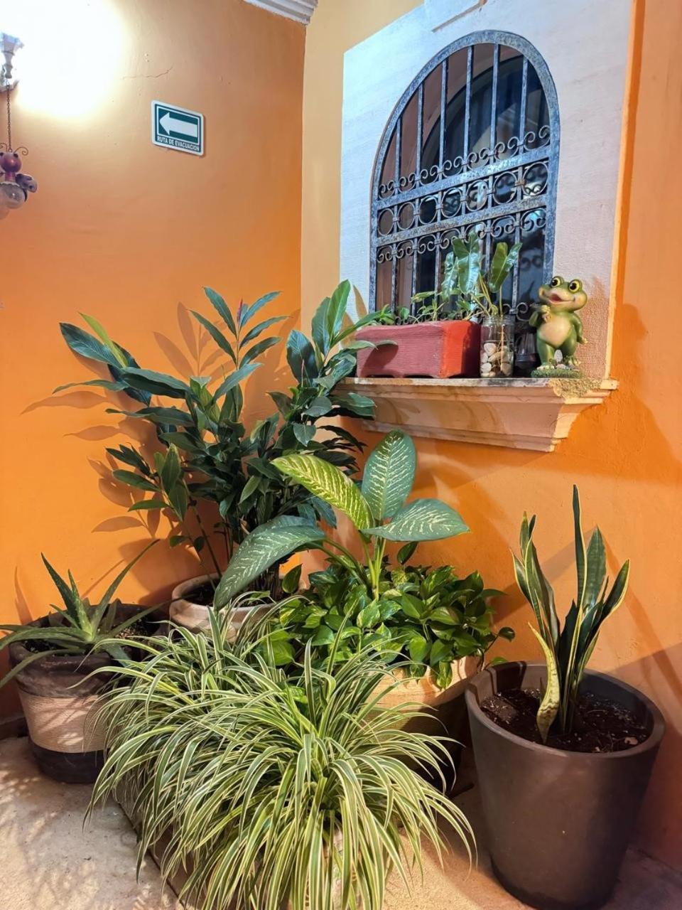Hotel Casa Mallorca Cancun Bagian luar foto