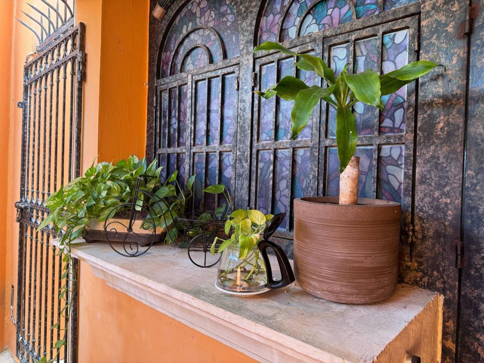 Hotel Casa Mallorca Cancun Bagian luar foto